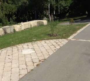 Friedhof Unterjesingen