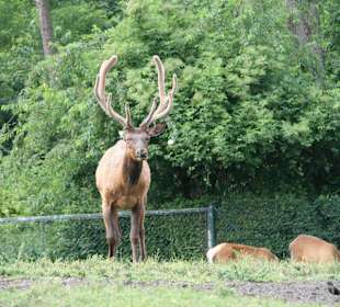 Serengeti Park Hodenhagen