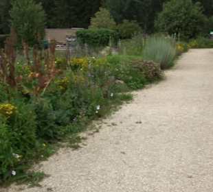 ALB-GOLD Naturgarten