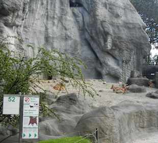 Tierpark Hagenbeck