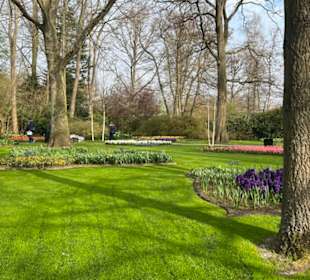 Keukenhof Holland