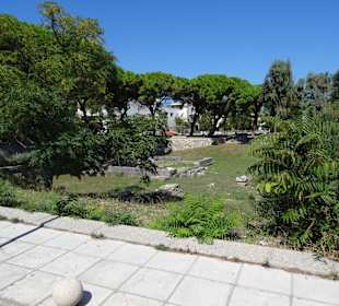 Mit der City Train durch Kos Stadt