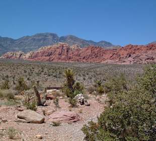 Red Rock Canyon