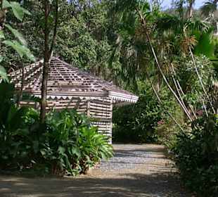 Teil des Botanischen Gartens