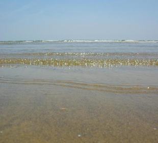Strand von Bibione 06-2010