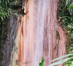 St. Lucia Best Experience Tours