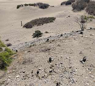 Dünen von Maspalomas