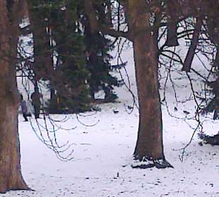 Łazienki wczesną wiosną.