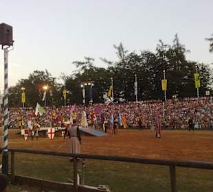 Kaltenberger Ritterturnier 2010