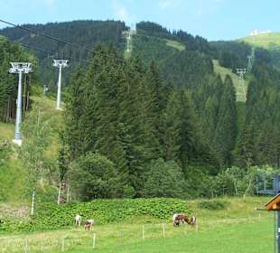 Lanovka