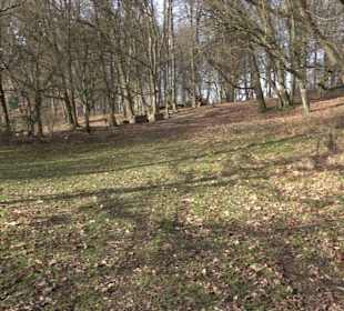 Grillplatz Tellerhecke