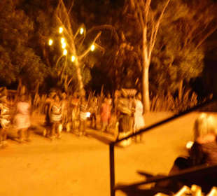 Krüger Nationalpark