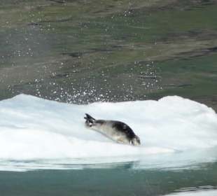 Prins Christian Sund