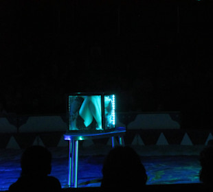 Landauer Weihnachtscircus 2015
