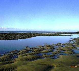 Der Strand morgens bei Ebbe