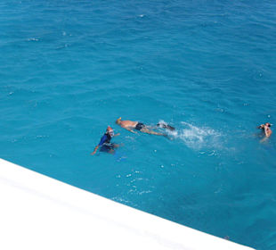 Schnorcheln und Tauchen