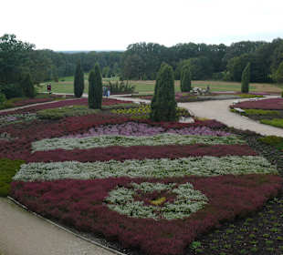 Verschiedene Heidearten