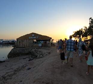 Delfin Tour - Auf dem Weg zum Boot