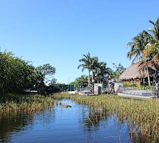 Everglades