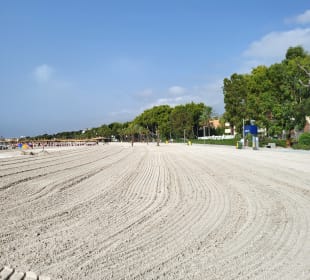 Strand Alcudia
