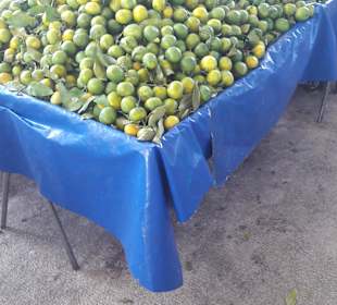 Einkaufen & Shopping