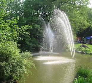 Freibereich im Zoo