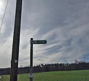 Gomaringer Rundweg - Zu den Giganten im Wald
