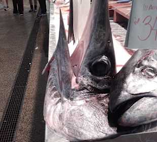 Wandern Novo Sancti Petri