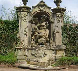 Ein schöner Anblick im Garten.