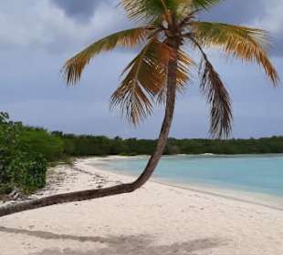 Punta Cana auf Deutsch - einfach schöne Ausflüge 