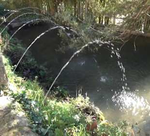 Gartenanlage - Botanischer Garten