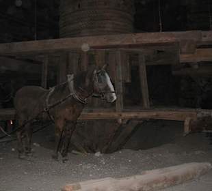 Salzbergwerk Wieliczka
