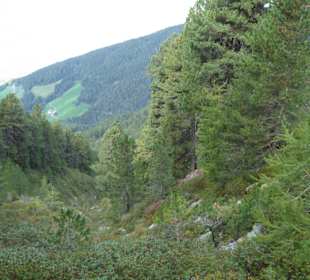 Ochsenalm