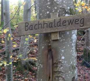 Wanderparkplatz Bachhalde Öschingen