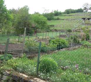 Naturinfopfad Weggental