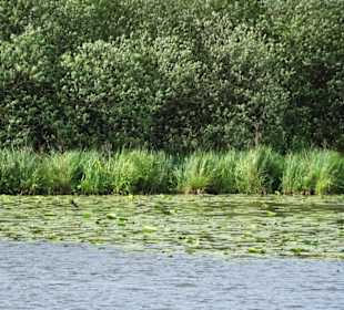 Eindrücke aus dem Teufelsmoor