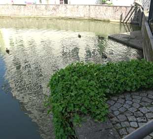 Stauwehr Flößerwasen