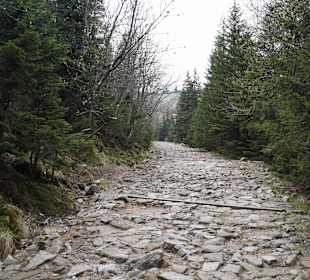 Berg Schneekoppe/Śnieżka