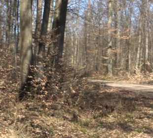 Geschichtlicher Lehrpfad Einsiedel