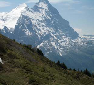 Eiger und Schreckhorn im Blick