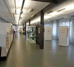 In der Sonderausstellung "Druck"