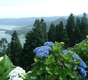Unterwegs auf dem Trail