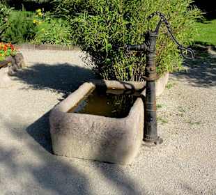 Impressionen aus dem Interkulturellen Garten