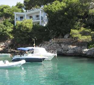 Tour mit Starfish Glass Bottom Boat
