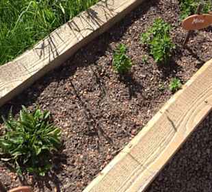 Arzneipflanzengarten Klosterreichenbach