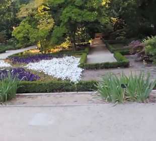 Real Jardín Botánico de Madrid