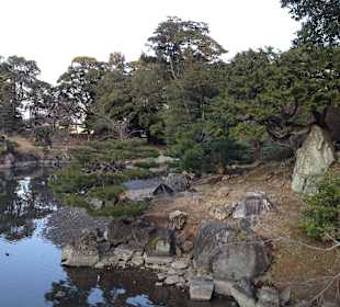 Hikone castle and surrounding garden