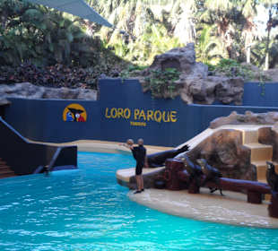 Loro Parque 
