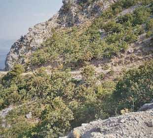 Küstenstraße/Schotterpiste Vlachia – Hiliadou