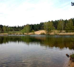 Im April der Birkensee Nordufer